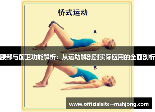 腰部与前卫功能解析：从运动解剖到实际应用的全面剖析