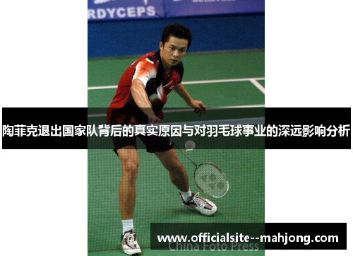 陶菲克退出国家队背后的真实原因与对羽毛球事业的深远影响分析