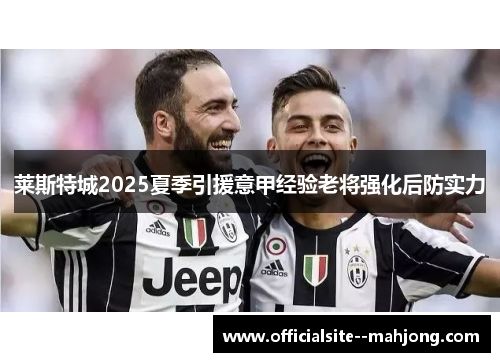 莱斯特城2025夏季引援意甲经验老将强化后防实力