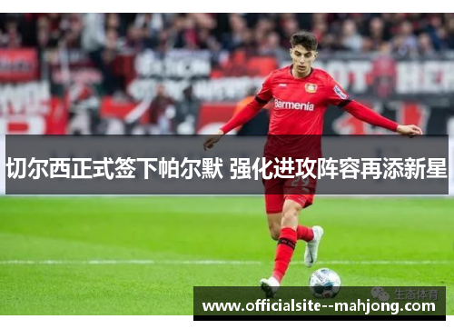切尔西正式签下帕尔默 强化进攻阵容再添新星